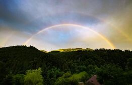 Casa 2ha teren  in Muntii Apuseni