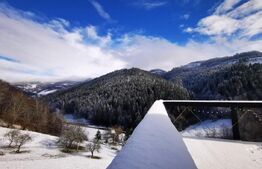 Casa 2ha teren  in Muntii Apuseni