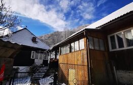 Casa 2ha teren  in Muntii Apuseni