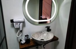 Casa 2ha teren  in Muntii Apuseni