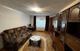 Apartament cu 2 camere, zona McDonald`s - Cetate