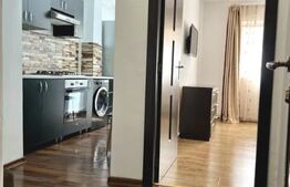 Garsoniera , zona Cetate