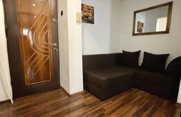 Garsoniera , zona Cetate