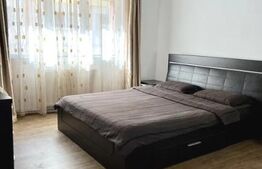 Garsoniera , zona Cetate