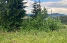 Teren intravilan , 6223 mp, zona Arieseni - Galbena