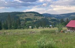 Teren intravilan , 6223 mp, zona Arieseni - Galbena