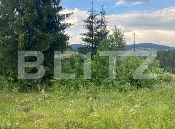 Teren de vânzare Nord Vest - 152603TV | BLITZ Alba Iulia | Poza5