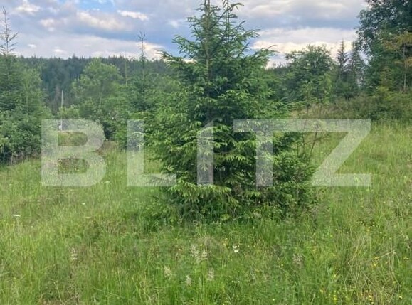 Teren de vânzare Nord Vest - 152603TV | BLITZ Alba Iulia | Poza4