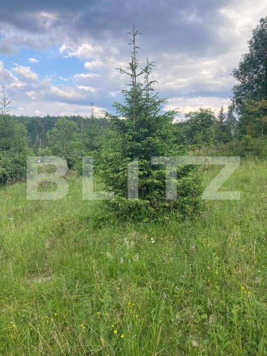 Teren de vânzare Nord Vest - 152603TV | BLITZ Alba Iulia | Poza4