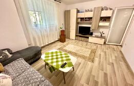 Apartament 2 camere, parter,  zona Cetate