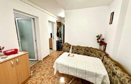 Apartament 2 camere, parter,  zona Cetate
