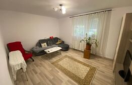 Apartament 2 camere, parter,  zona Cetate