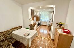 Apartament 2 camere, parter,  zona Cetate