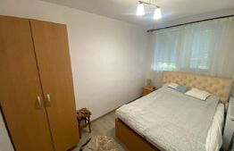 Apartament 2 camere, parter,  zona Cetate
