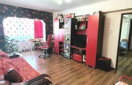 Apartament 2 camere decomandat in Cetate, zona Mercur, et.1