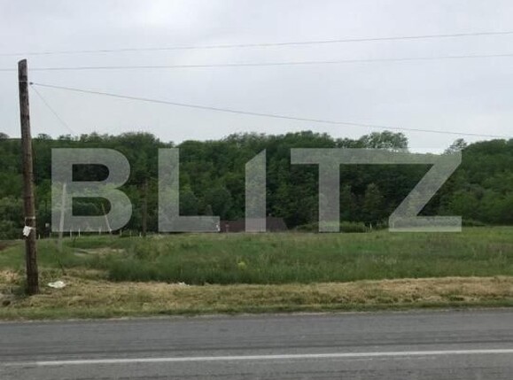 Teren de vânzare Teleac - 153091TV | BLITZ Alba Iulia | Poza1