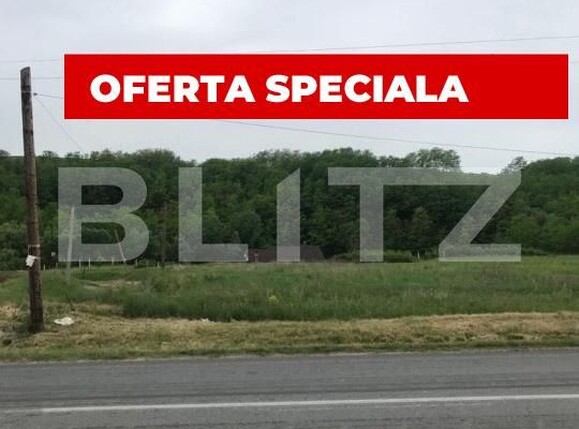Teren de vânzare Teleac - 153091TV | BLITZ Alba Iulia | Poza1