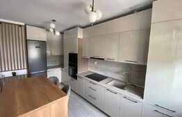 Apartament 2 camere de inchiriat, 67 mp, zona Cetate,cartier Transalpina