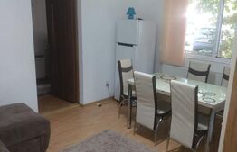 Apartament 2 camere in Cetate, b-dul Transilvaniei