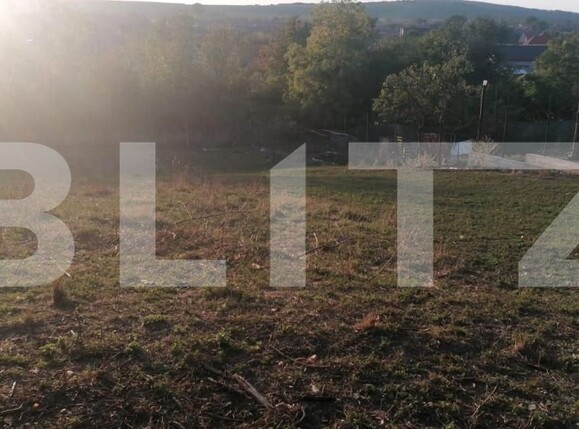 Casa de vânzare 5 camere Exterior Sud - 153665CV | BLITZ Alba Iulia | Poza11