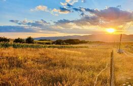 Teren intravilan 1950 mp, Oarda de Sus