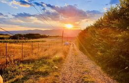 Teren intravilan 1950 mp, Oarda de Sus