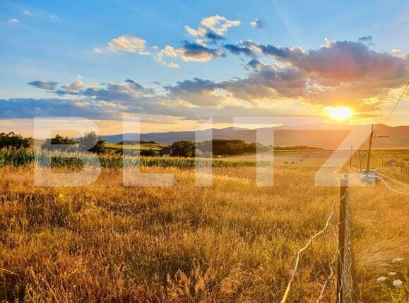 Teren de vânzare Oarda - 153695TV | BLITZ Alba Iulia | Poza4