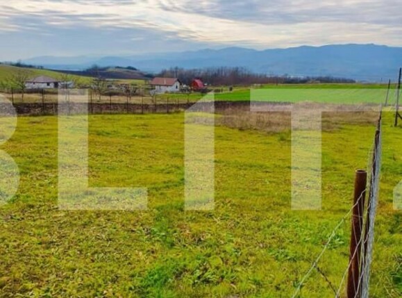 Teren de vânzare Oarda - 153695TV | BLITZ Alba Iulia | Poza3