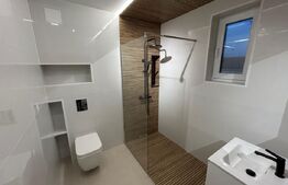 Casa tip duplex finisata, 132 mp utili, 250 mp teren, zona Cetate