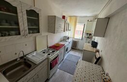 Garsoniera, 32 mp, Cetate