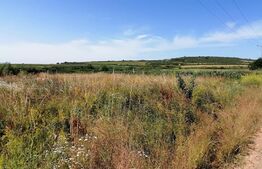 Teren extravilan 1300 mp pentru cabana, curent zona Paclisa