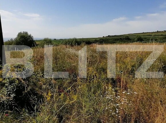 Teren de vânzare Periferie - 153965TV | BLITZ Alba Iulia | Poza2