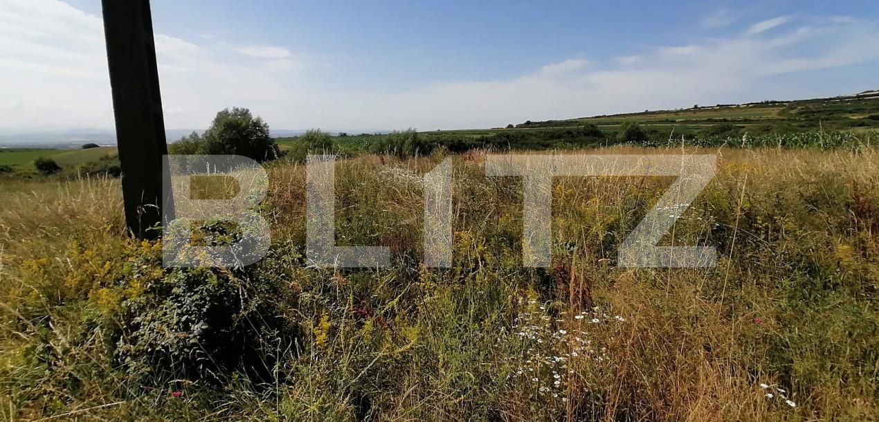 Teren de vânzare Periferie - 153965TV | BLITZ Alba Iulia | Poza2