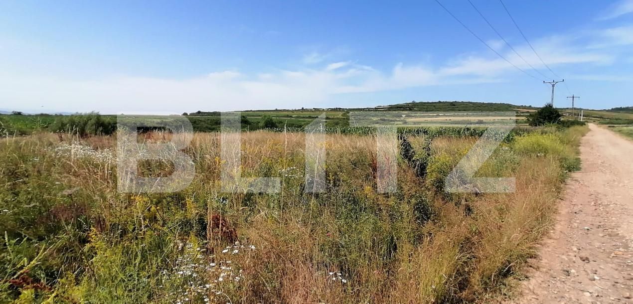 Teren de vânzare Periferie - 153965TV | BLITZ Alba Iulia | Poza1