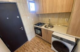 Garsoniera, 22 mp, Cetate