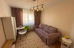 Garsoniera, 22 mp, Cetate