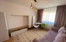 Garsoniera, 22 mp, Cetate