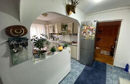 Apartament 2 camere, 58mp, zona Cetate