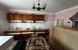 Casă în orașul Zlatna cu teren 19.709 mp