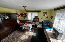 Casă în orașul Zlatna cu teren 19.709 mp