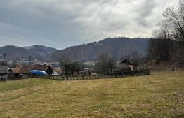 Casă în orașul Zlatna cu teren 19.709 mp