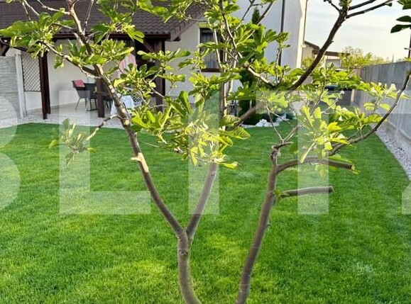 Casa de vânzare 3 camere Cetate - 154495CV | BLITZ Alba Iulia | Poza12