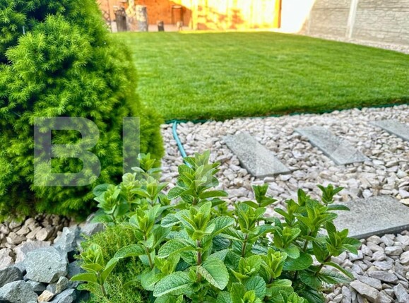 Casa de vânzare 3 camere Cetate - 154495CV | BLITZ Alba Iulia | Poza13