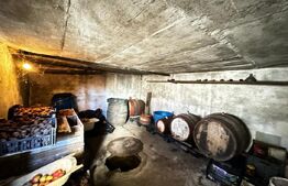 Casă 4 camere, teren 4.496mp, sat Secasel - Alba