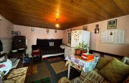 Casă 4 camere, teren 4.496mp, sat Secasel - Alba