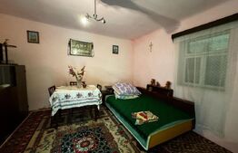 Casă 4 camere, teren 4.496mp, sat Secasel - Alba