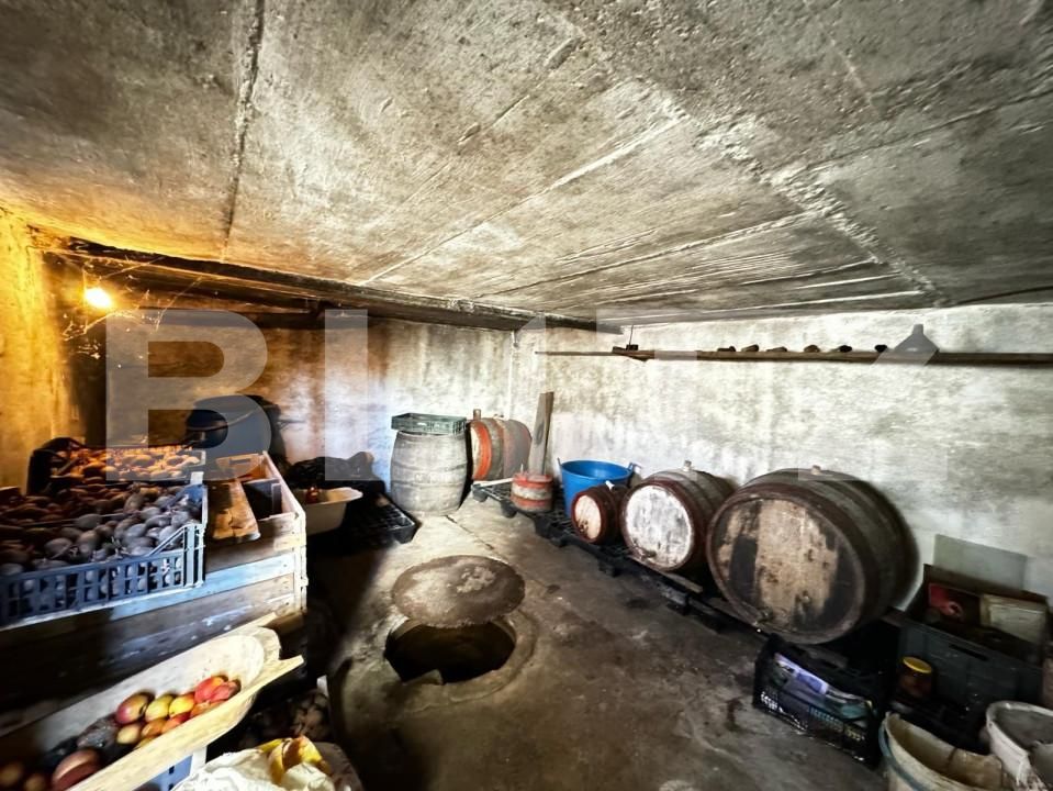 Casa de vânzare 4 camere Secasel - 154637CV | BLITZ Alba Iulia | Poza11