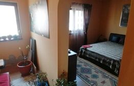 Casa doua corpuri 110 mp 4830 mp teren in Capud