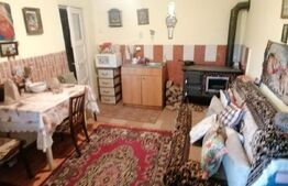 Casa doua corpuri 110 mp 4830 mp teren in Capud