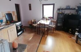 Casa doua corpuri 110 mp 4830 mp teren in Capud